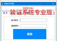 验证系统专业版:企业级安全认证解决方案