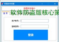软件防盗版核心策略:五大防护技术解析
