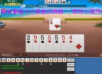 微乐够级/5人保皇记牌器 - 微信小程序电脑版专用,智能算牌 关特效,高手必备辅助