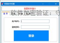 软件加密验证:守护数字资产安全的核心技术
