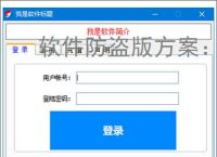 软件防盗版方案:保护开发者权益的必备措施