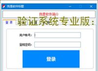 验证系统专业版:多维度软件防护方案解析