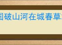 《宝可梦》NS2新作公开!化身百变怪种田建造家园 _ 游民星空 GamerSky.com