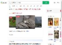 天天下雨鞋带上长出了绿芽_360搜索