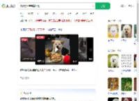 宠物狗坐宝宝椅吃饭_360搜索