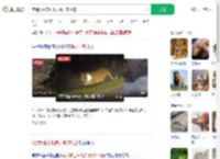 夜遇野生东北虎大喊:本地的_360搜索