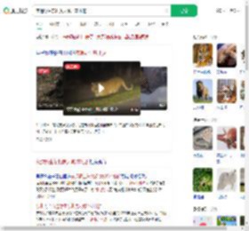 夜遇野生东北虎大喊：本地的_360搜索