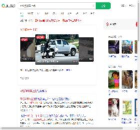 网红狗开车上路_360搜索