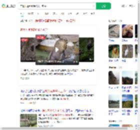 在景区遇到秦岭杀人王羚牛_360搜索